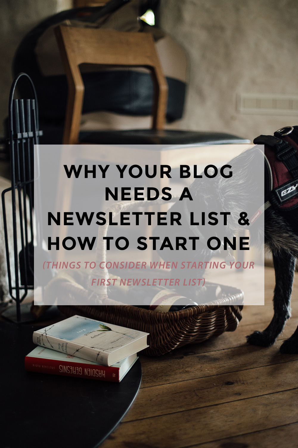 Starting a newsletter can be the next step from turning your blog from hobby to business. Despite all the changes in the online world, we're still using e-mails on the daily bases and creating a list of engaged newsletter subscribers is the best thing you can do for your growing online business. Let me tell you why...(blogging tips, newsletter tips, growing newsletter, newsletter list)
