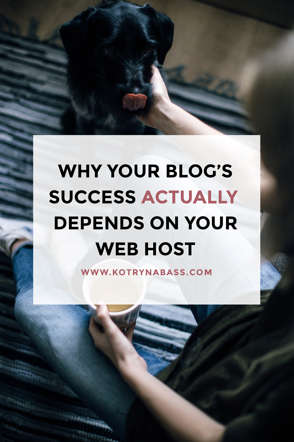 Web Hosting Is Important When It Comes To Your Blog's Success
